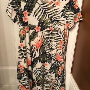 LulaRoe Jessie Dress